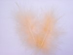 Peach  Marabou Feathers.......click for larger image