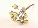 Cream colour Mini Open Rose